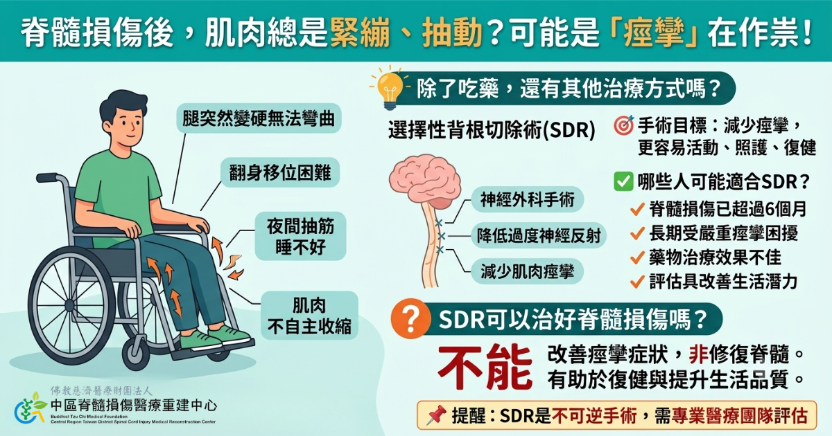 選擇性背根切除_2733e.png